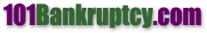 101 bankruptcy